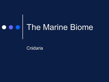 The Marine Biome Cnidaria.