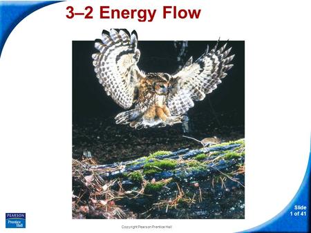 Slide 1 of 41 Copyright Pearson Prentice Hall 3–2 Energy Flow.