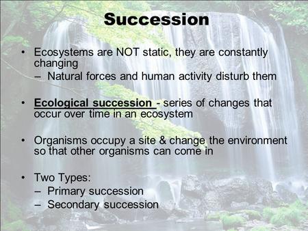 Succession Ecosystems are NOT static, they are constantly changing