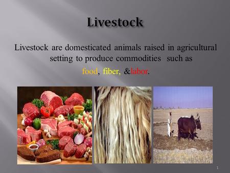 Livestock are domesticated animals raised in agricultural setting to produce commodities such as food, fiber, &labor. 1.