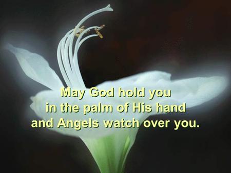 May God hold you in the palm of His hand and Angels watch over you. May God hold you in the palm of His hand and Angels watch over you.