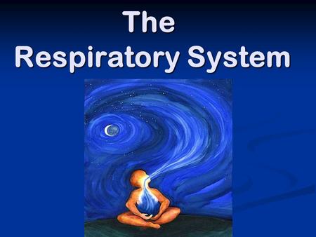 The Respiratory System. To Review… Cellular Respiration is… A set of chemical reactions that release energy from food molecules A set of chemical reactions.