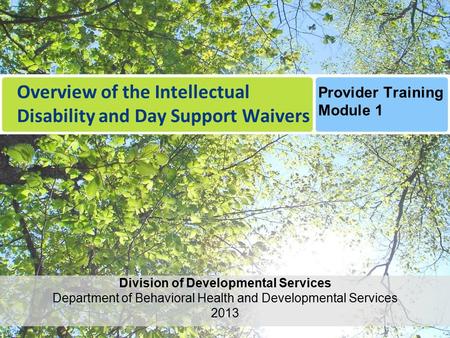 Overview of the Intellectual Disability and Day Support Waivers Provider Training Module 1 Division of Developmental Services Department of Behavioral.