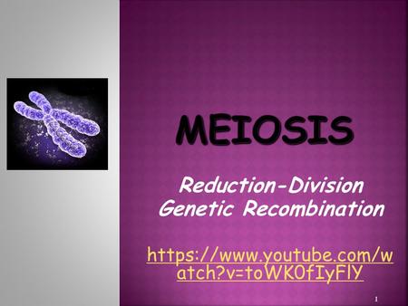 Reduction-Division Genetic Recombination https://www.youtube.com/w atch?v=toWK0fIyFlY 1.