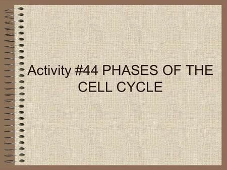 Activity #44 PHASES OF THE CELL CYCLE