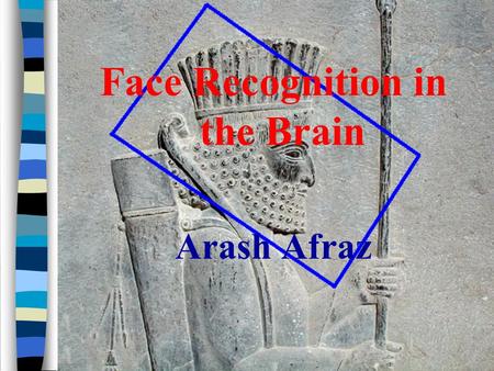 Face Recognition in the Brain Arash Afraz.
