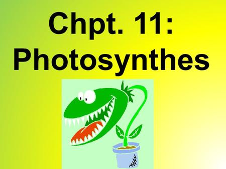 Chpt. 11: Photosynthesis.