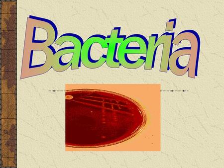 Bacteria Prokaryotes Lack nucleus and membrane bound organelles Evolving on Earth for last 2.5 billion years Exist in variety of environments First organisms.