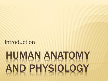 Introduction.  Anatomy-study of the structure and shapes of body parts and their relationship to one another.  Physiology-how the body and its parts.