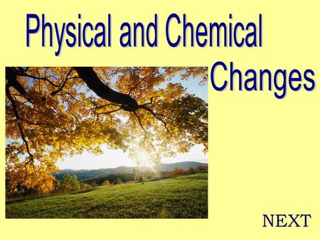 NEXT. Physical Change “The physical properties of a substance change, but the identity of the substance does not change.” NEXT.
