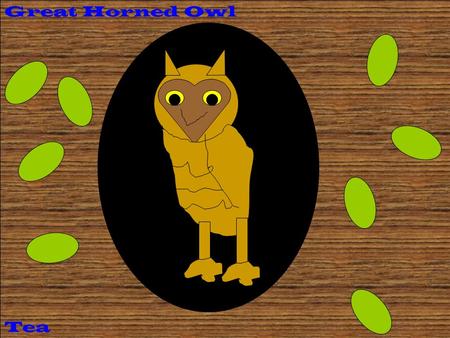 Tea Great Horned Owl. Description Coloring: Size: Physical Characteristics: Source #___23______ A Great Horned Owl has brown, white, and black ear tufts.