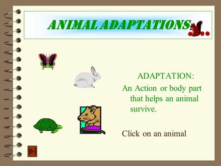 Animal Adaptations ADAPTATION: An Action or body part that helps an animal survive. Click on an animal.