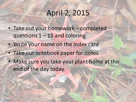 April 2, 2015 Take out your homework – completed questions 1 – 15 and coloring Write your name on the index card Take out notebook paper for notes Make.