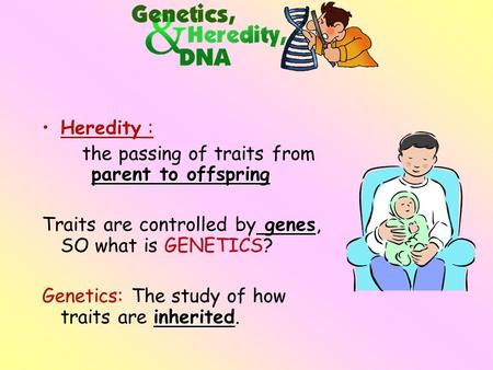 HeredityHeredity : parent to offspring the passing of traits from parent to offspring genes Traits are controlled by genes, SO what is GENETICS? inherited.