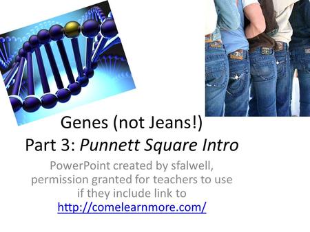 Genes (not Jeans!) Part 3: Punnett Square Intro PowerPoint created by sfalwell, permission granted for teachers to use if they include link to