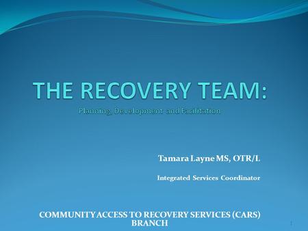 Tamara Layne MS, OTR/L Integrated Services Coordinator COMMUNITY ACCESS TO RECOVERY SERVICES (CARS) BRANCH 1.