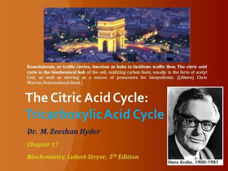 The Citric Acid Cycle: Tricarboxylic Acid Cycle Dr. M. Zeeshan Hyder Chapter 17 Biochemistry, Lubert Stryer, 5 th Edition Roundabouts, or traffic circles,
