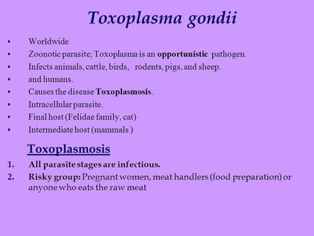 Toxoplasma gondii Toxoplasmosis Worldwide