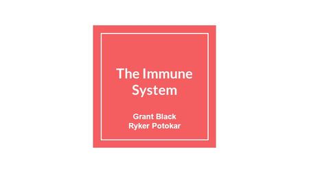 The Immune System Grant Black Ryker Potokar. The Immune System The immune system is a way for animals to eliminate or avoid pathogens, or something that.