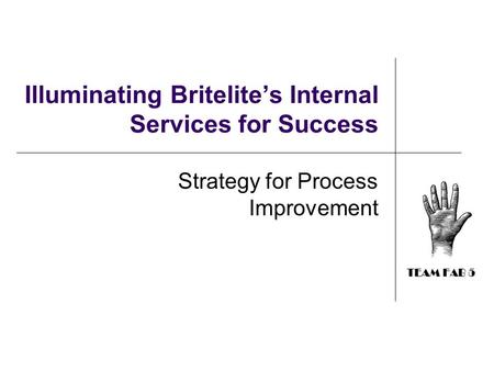 Illuminating Britelite’s Internal Services for Success Strategy for Process Improvement.