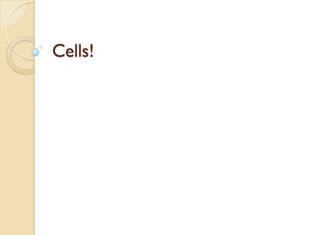 Cells!. IMPORTANT! Human Body Organs Tissue Cells Organelles.