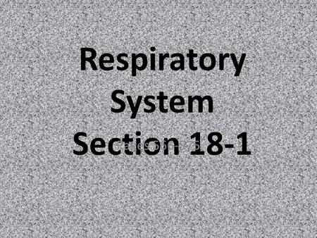 Respiratory System Section 18-1 Pages 566-575. Introduction to the Respiratory System.