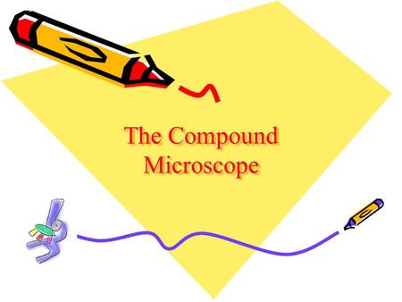 The Compound Microscope. A. Eyepiece B. Body Tube C. Coarse Adjustment D. Fine Adjustment E. Arm F. Revolving Nosepiece G. High Power Objective H. Low.