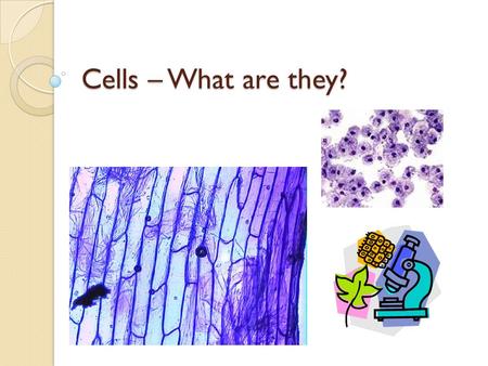 Cells – What are they?. Overview 1. Cells are the basic unit of structure and function in living things. 2. The structure of living things is determined.