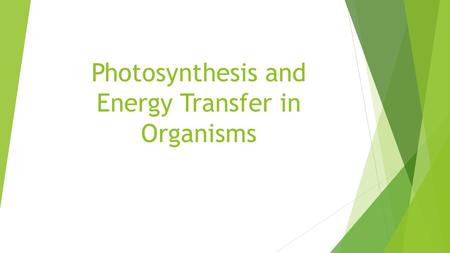 Photosynthesis and Energy Transfer in Organisms