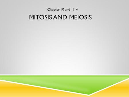 MITOSIS AND MEIOSIS Chapter 10 and 11-4. WHAT IS MITOSIS?  For growth and to replace old, worn out or damaged cells.  Occurs in body cells therefore.