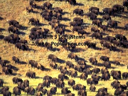 Unit 3 Ecosystems Topic 6: Population ecology Populations All of the individuals of a species in a given area at the same time Characteristics of populations.
