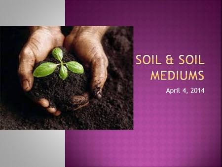 Soil & Soil Mediums April 4, 2014.