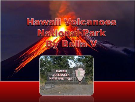 What year did the Park become an official National Park and why? On August 1, 1916, The Hawaii Volcanoes became a National Park. President Woodrow Wilson.