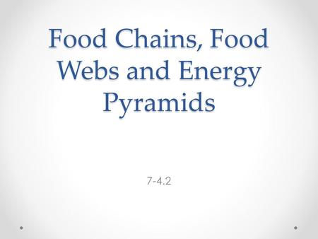 Food Chains, Food Webs and Energy Pyramids 7-4.2.