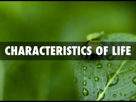Characteristics of Living Things The word BIOLOGY means “the study of life.” Biology seeks to understand the living world. Biology is part of everyday.