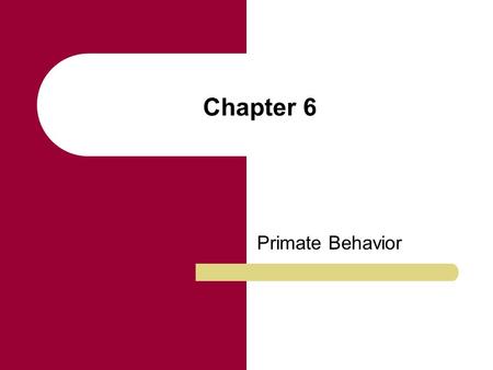 Chapter 6 Primate Behavior. Chapter Outline Importance of Primate Study Evolution of Behavior Nonhuman Primate Social Behavior Reproduction and Reproductive.
