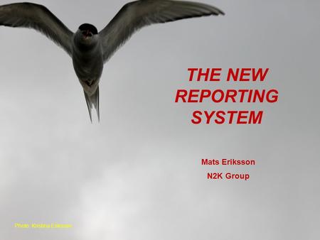 THE NEW REPORTING SYSTEM Photo: Kristina Eriksson Mats Eriksson N2K Group.