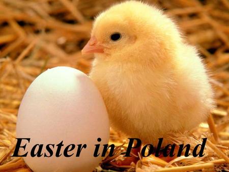 Easter in Poland. Easter holiday is a special period in the year. Catholic Church recognizes this holiday as the most important in the whole year. Majority.