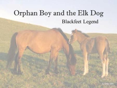 Orphan Boy and the Elk Dog Blackfeet Legend. Goals Content Goal – To discover the lessons it teaches and why it stands the test of time. To summarize,