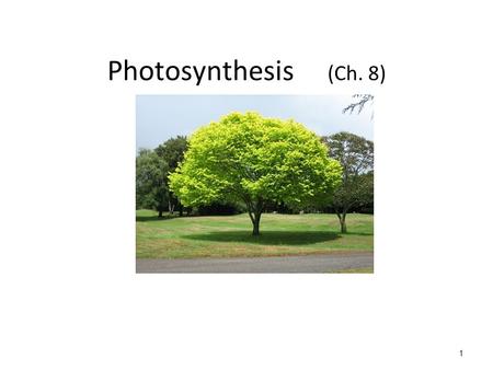 Photosynthesis (Ch. 8) 1. ATP (for energy!) ATP = adenosine triphosphate ATP is the molecule that DIRECTLY provides energy to do cellular work Chemical.