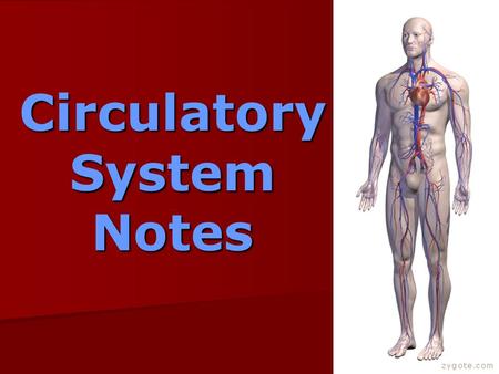 Circulatory System Notes. Functions of the circulatory system… -Carries nutrients, oxygen & other needed materials to cells.