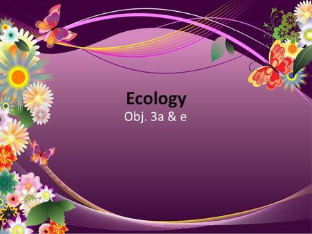 Ecology Obj. 3a & e. Ecosystems  An ecosystem is all the organisms that live in an area together with the nonliving factors of the environment  Ex.