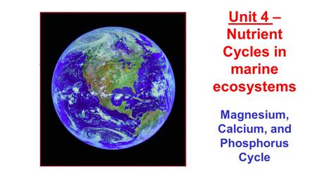 Magnesium, Calcium, and Phosphorus Cycle Unit 4 – Nutrient Cycles in marine ecosystems.