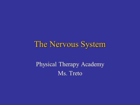 The Nervous System Physical Therapy Academy Ms. Treto.