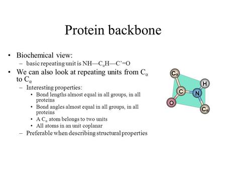 Protein backbone Biochemical view: