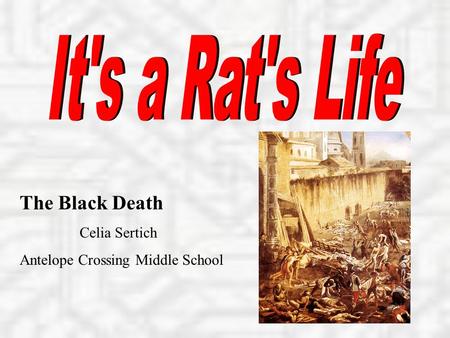The Black Death Celia Sertich Antelope Crossing Middle School.