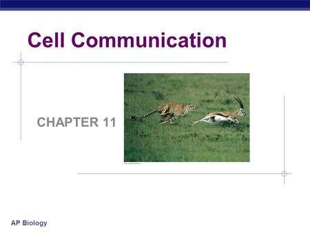 AP Biology Cell Communication CHAPTER 11. Warm-Up 1. Why do you communicate? 2. How do you communicate? 3. How do you think cells communicate? 4. Do you.