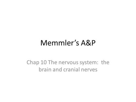 Chap 10 The nervous system: the brain and cranial nerves