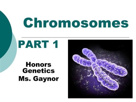 Chromosomes PART 1 Honors Genetics Ms. Gaynor. Why is Cell Division Important?  Unicellular organisms Reproduce by cell division  increasing the population.
