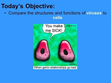 Compare the structures and functions of viruses to cells